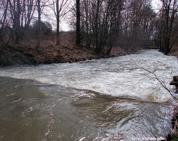 Závěrečný stupeň s peřejkou nad ústím Kněžné Závěrečný stupeň s peřejkou nad ústím Kněžné