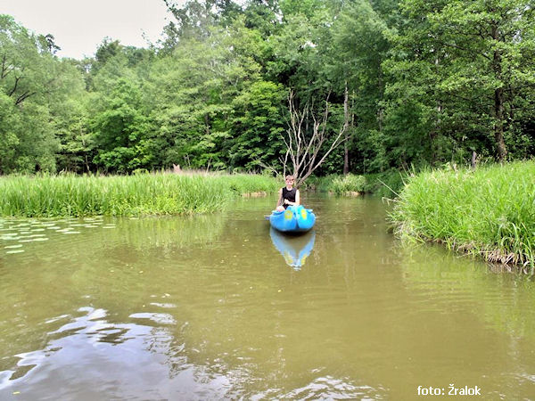 Konečně romantika s lekníny Konečně romantika s lekníny