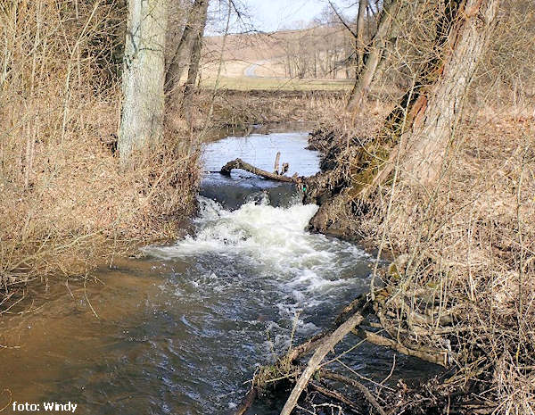 Losenický potok Losenický potok