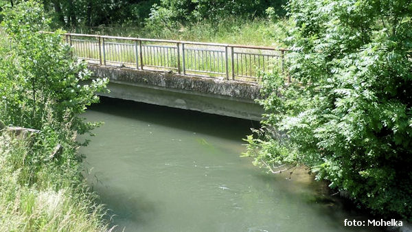 Týništko - nízký mostek v náhonu Týništko - nízký mostek v náhonu