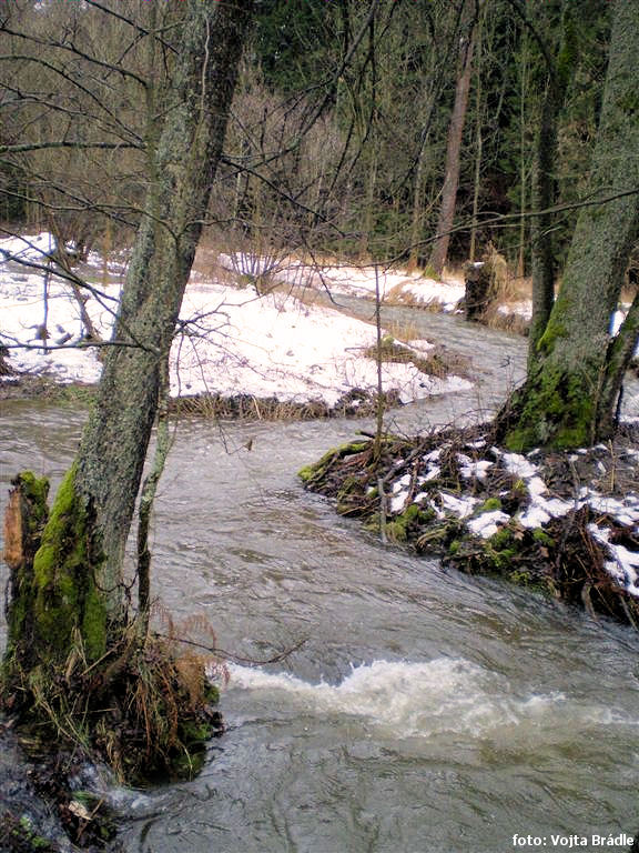 Horní úsek Rokytenky Horní úsek Rokytenky