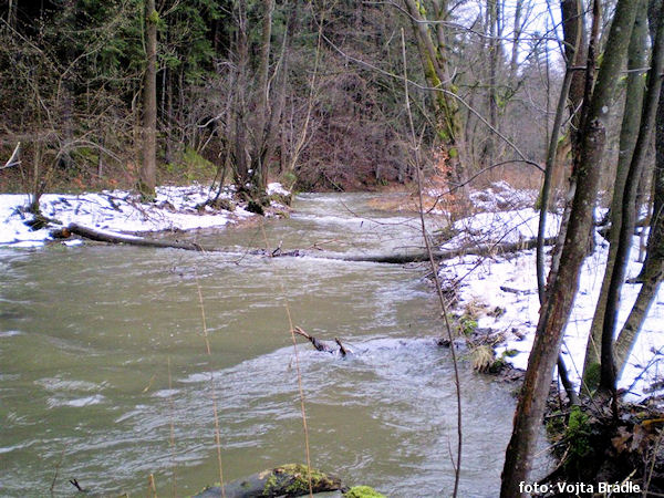 Pod ústím Suché Pod ústím Suché