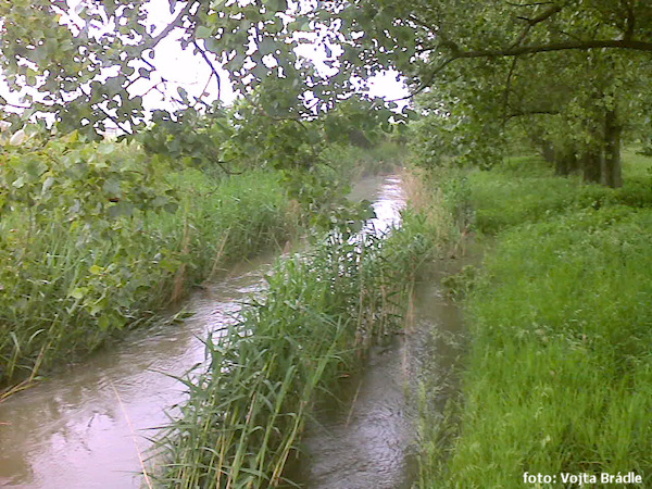 Za obcí Dymokury Za obcí Dymokury