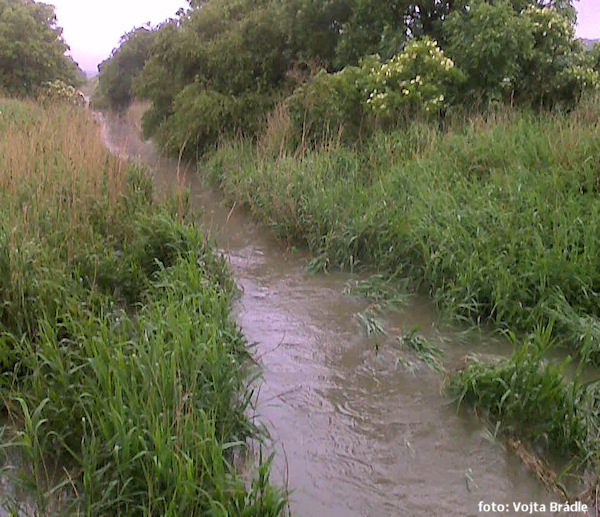 Za obcí Dymokury Za obcí Dymokury