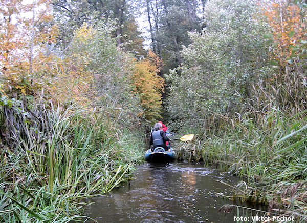 Zlatá stoka Zlatá stoka