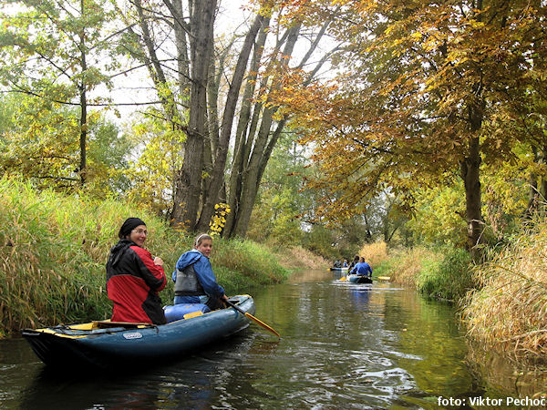Zlatá stoka Zlatá stoka