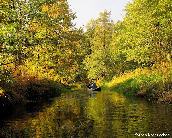 Zlatá stoka Zlatá stoka