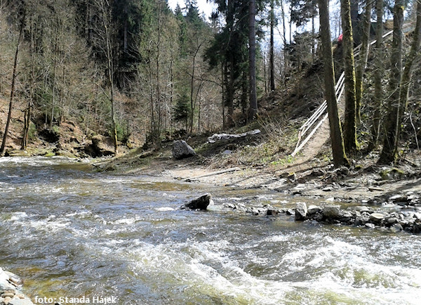 Navarov pravý břeh pod mostem Navarov pravý břeh pod mostem