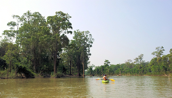 Jedno z ramen Mekongu Jedno z ramen Mekongu