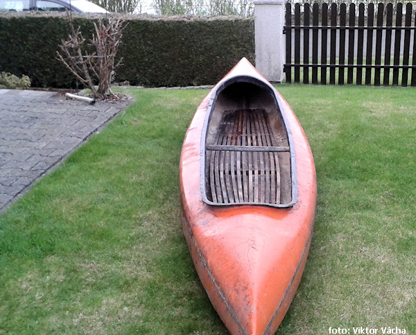 Vydra po přivezení Vydra po přivezení