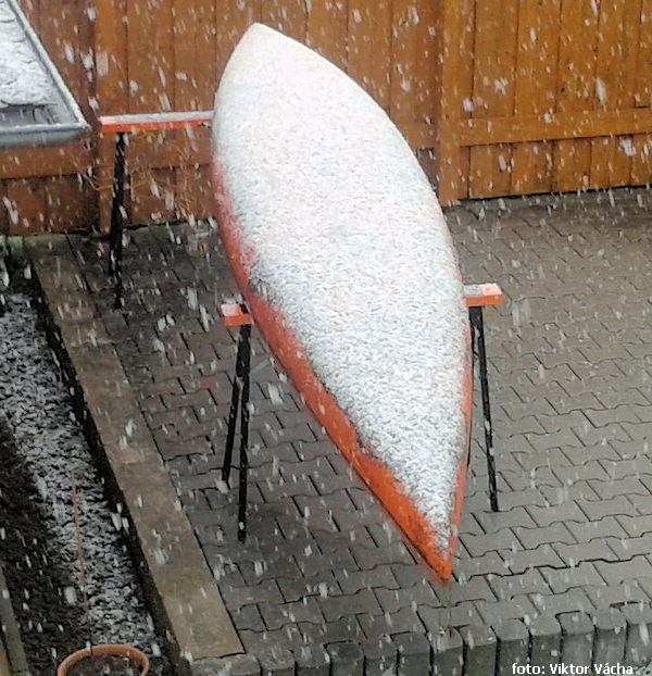 Vydra pod sněhem Vydra pod sněhem