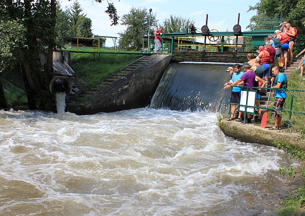 Jez Repcin Jez Repcin