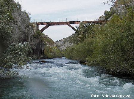 Cetina pod vesnicí Blato nad Cetinou Cetina pod vesnicí Blato nad Cetinou