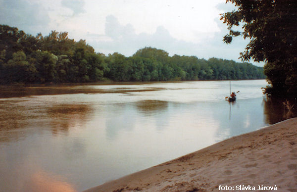 Jarek se vrací s uplavanou a ulovenou lodí Jarek se vrací s uplavanou a ulovenou lodí
