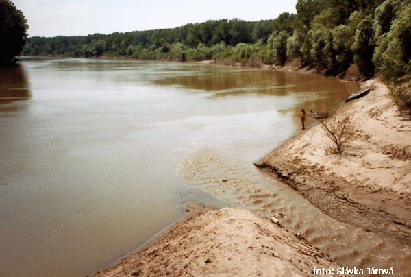 Největší písečná pláž 14 dní po povodní Největší písečná pláž 14 dní po povodní
