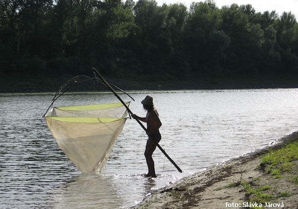 Rybaření za pomoci moskytiéry Rybaření za pomoci moskytiéry