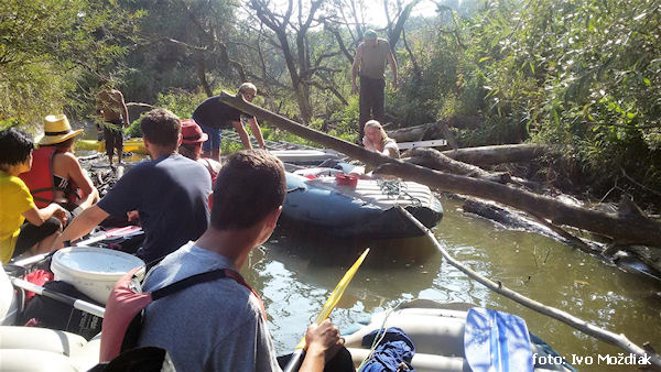 Zapadané místo na Odře Zapadané místo na Odře