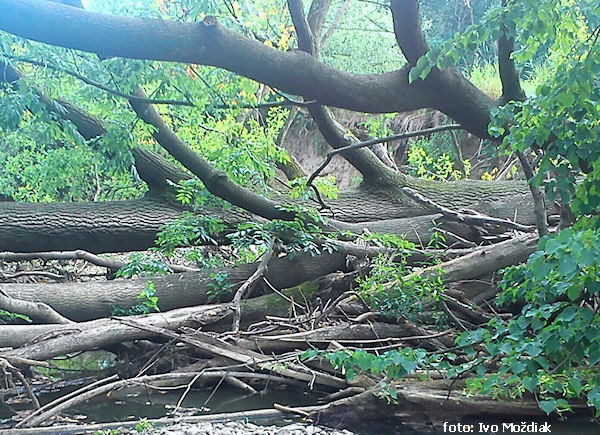 Tak vypadal velký špunt, nyní zprůjezdněn podplutím Tak vypadal velký špunt, nyní zprůjezdněn podplutím