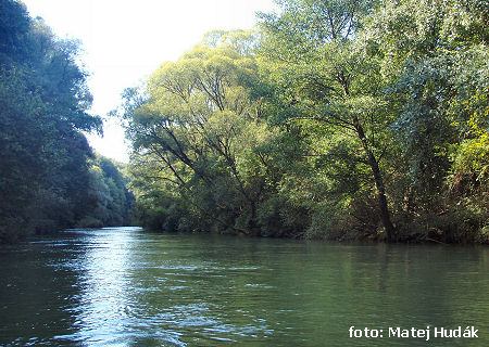 Pod hrádzou Domaše Pod hrádzou Domaše