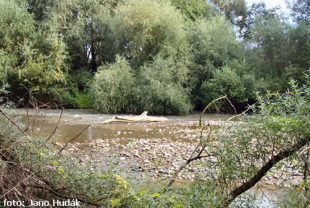 Miesto na tabor Miesto na tabor