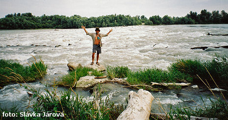 Peřej na starém Dunaji Peřej na starém Dunaji