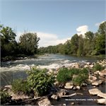 Rúrová perej - vodočet Jur nad Hronom: 78 cm (04.05.2024)
