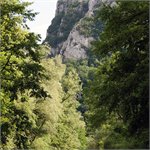 Sopotu Nou - Sasca Romana