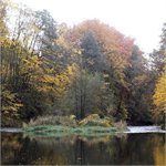 Ostrůvek pod Malou Skálou