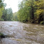 Závěrečná peřej před vzdutím přehrady Les Království