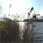 Soutok s Labem