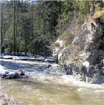 Horní Sázava ze Žďáru