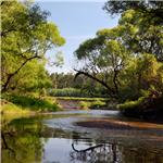 Tichá Orlice z Chocně do Blešna