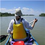 Dunajské staré koryto