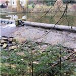 Suché jezy v roce 2019, 8 MVE porušilo zákon