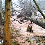 Nad Ústím u St. Paky