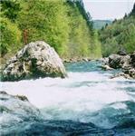 Skala - Tomáškův kámen