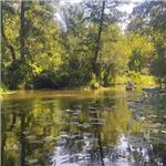 Přítok Czarna Nida