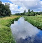 Trątkownica