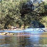 Jizera pod Předměřicemi