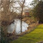 Klejnárka ve Starém Kolíně