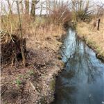 Mlynařice u Dvorců